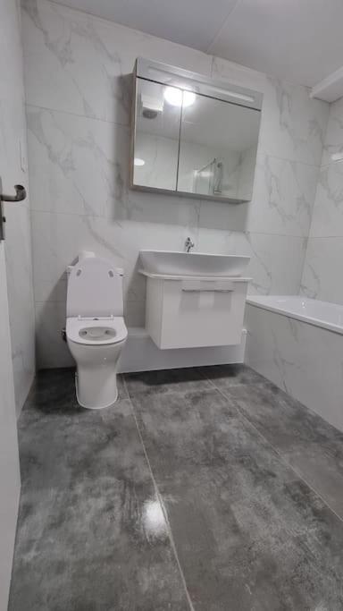 Brand New Flat Close To Turnpike Lane Tube Station Лондон Екстер'єр фото