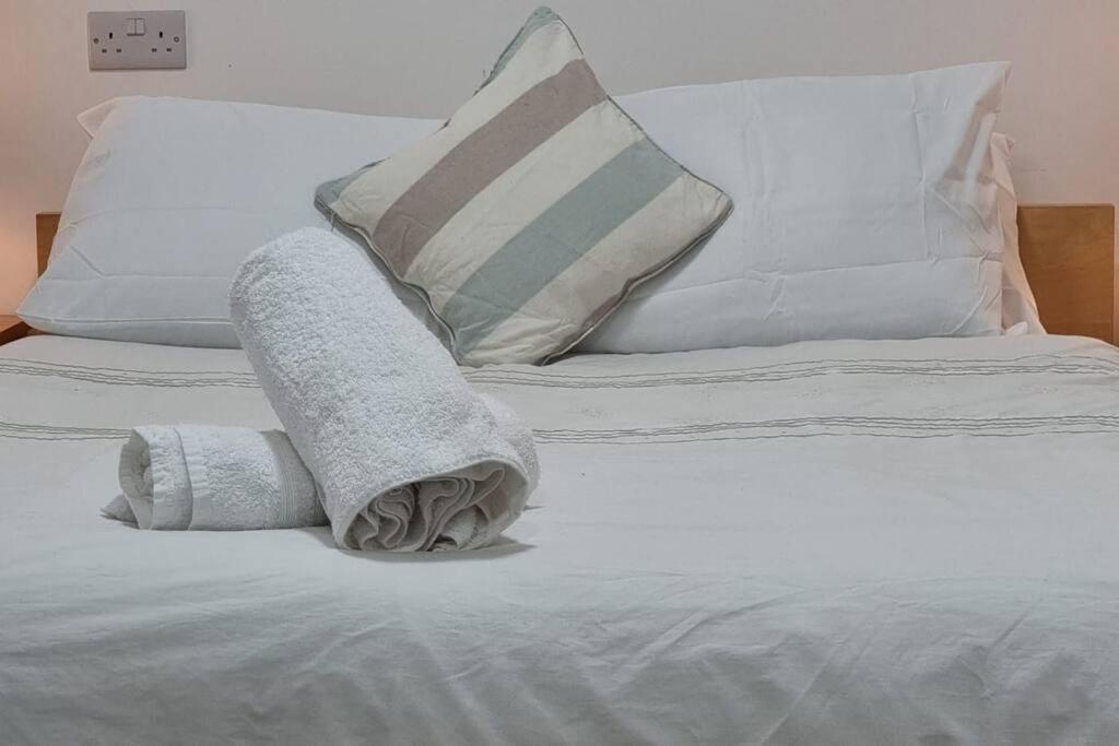 Brand New Flat Close To Turnpike Lane Tube Station Лондон Екстер'єр фото